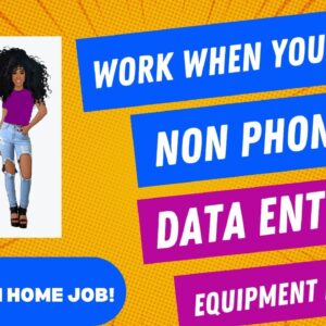 Non Phone Work From Home Job Data Entry Work When You Want Equipment Provided Remote Job Hiring Now