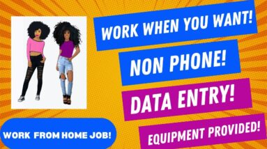 Non Phone Work From Home Job Data Entry Work When You Want Equipment Provided Remote Job Hiring Now
