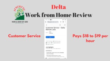 Delta Pays $18 to $19 per hour | Customer Service Work from Home Review