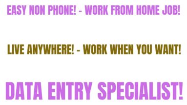 Easy Non Phone Work From Home Job | Live Anywhere | Work When You Want | Data Entry Specialist