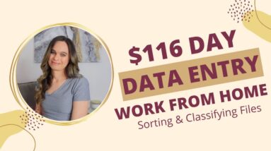 $116 Day Afternoon / Evening DATA ENTRY Work From Home Job Sorting & Classifying Files  | No Degree