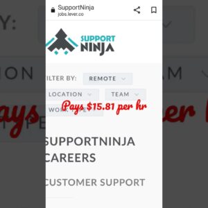 Support Ninji Pays $15.81 per hr / Payroll Specialist US & International