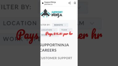 Support Ninji Pays $15.81 per hr / Payroll Specialist US & International