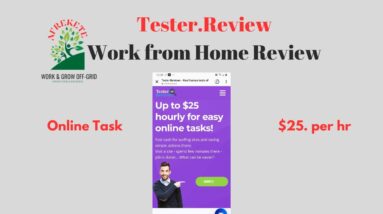 Tester.Reviews Pays up to $25 per hr | Work from Home Review