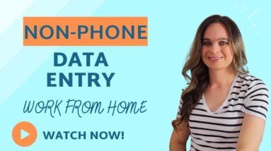 NON-PHONE Data Entry Coordinator Work From Home Job 2023 With No Degree Needed | USA Only