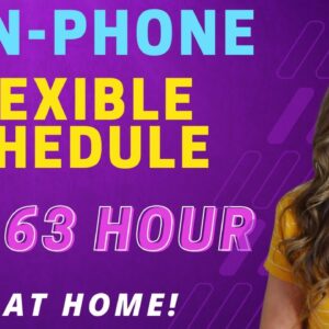 Non-Phone FLEXIBLE SCHEDULE Work From Home Job Reviewing Chargeback Documentation |Up To $18.63 Hour